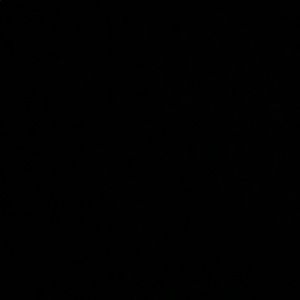 Meet your Posher, Lis